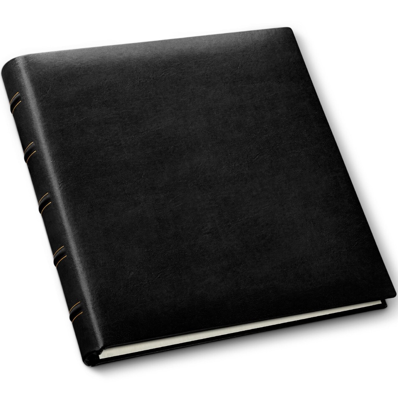 Gallery Leather Premium Ring-Bound Scrapbook, 12.25"x11.75" Leather Cover, 10 Sheets Ivory Inserts, Perfect for Customization